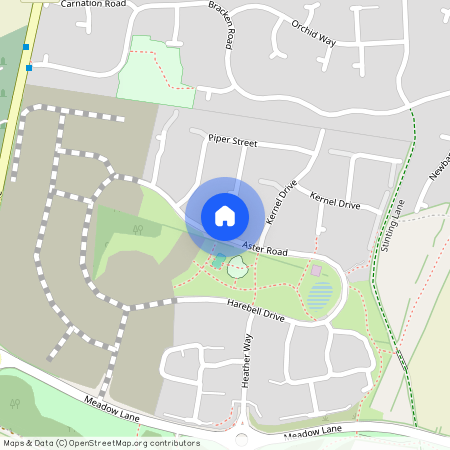 Aster Road, Shirebrook