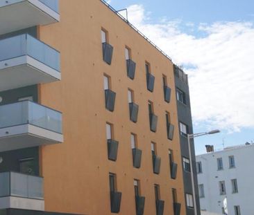 Appartement 1 pièces à louer à PERPIGNAN - Photo 4