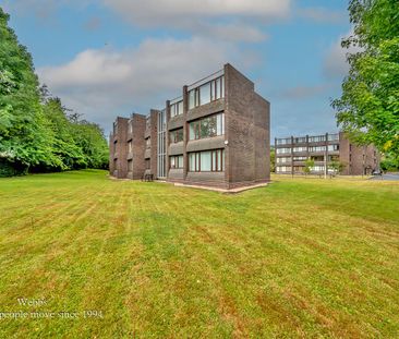 Parklands Gardens, Walsall - Photo 5
