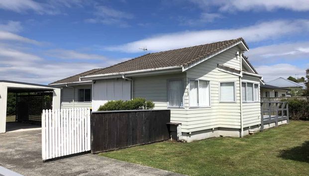THREE BEDROOMS, FEILDING - Photo 1