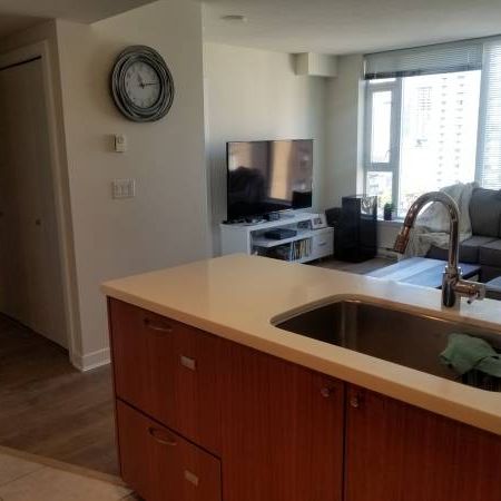 1 Bedroom Suite + Den in Yaletown - Photo 4