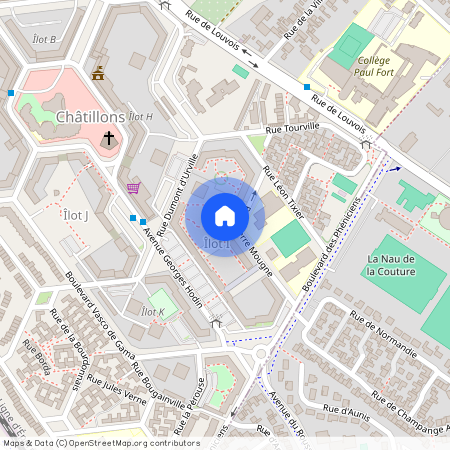 014 RUE PIERRE MOUGNE, 51100, Reims