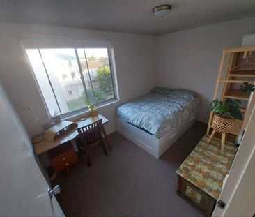 Freshwater - Photo 5