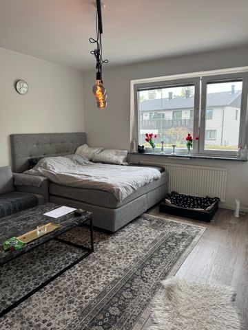 Götagatan, Borås - Foto 2