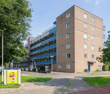 Washingtondreef 0ong, 3564 Utrecht, Nederland - Photo 3