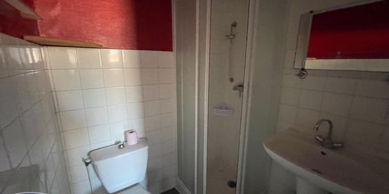 Location Appartement 1 pièce GRENOBLE 38000 - Photo 3