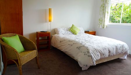109 Milton Street, The Wood, Nelson - Photo 5