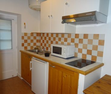 Location Appartement 1 pièce 17m² ORLEANS 45000 - Photo 3