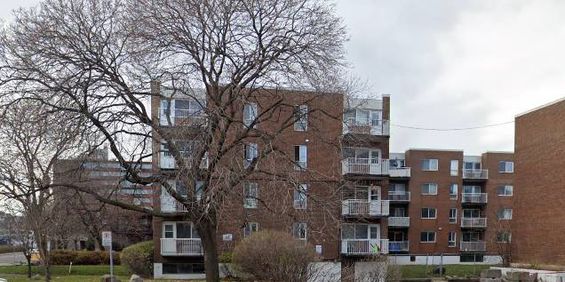 4 1/2 - 50 Rue Crépeau, Montréal - Ouest - Photo 3