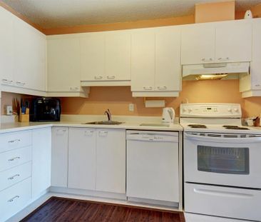 Grand 4 1/2 - Ste-Foy - 1249$/mois - Photo 2