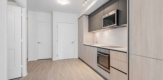 1+1 Bed & 1 Bath - 8 Widmer Condos - Photo 2