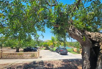 WIDE ESTATE FOR RENT IN TEULADA FOR LONG TERM