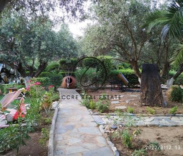 Μονοκατοικία για ενοικίαση Κάτω Σούνιο (Σούνιο) - Photo 6