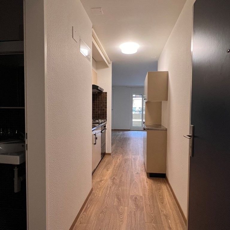 Geräumige 1-Zimmerwohnung in Zürich Oerlikon - Foto 1