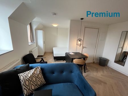 Exchange Student Housing Maastricht [Spring Semester] Short Stay studio’s | The Elements | 01-01-2026 - Photo 3