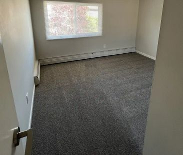 7715 159st — Bi-Level 2 Bedroom One Bath - Photo 4