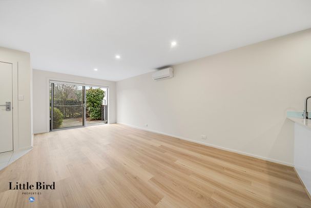 2/3 Bagot Street, O'Connor ACT 2602 - Townhouse For Rent | Domain - Photo 1