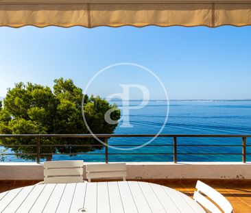 Flat for rent with Terrace in Port d’Alcúdia - Platja d'Alcúdia (Al... - Photo 4