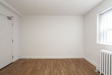 56 Maitland Street - Photo 4