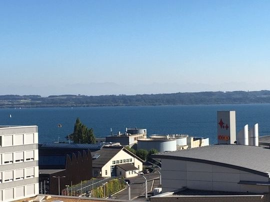 Bel appartement de 4 pièces de 90m2 avec vue sur le lac et les Alpes - Photo 1