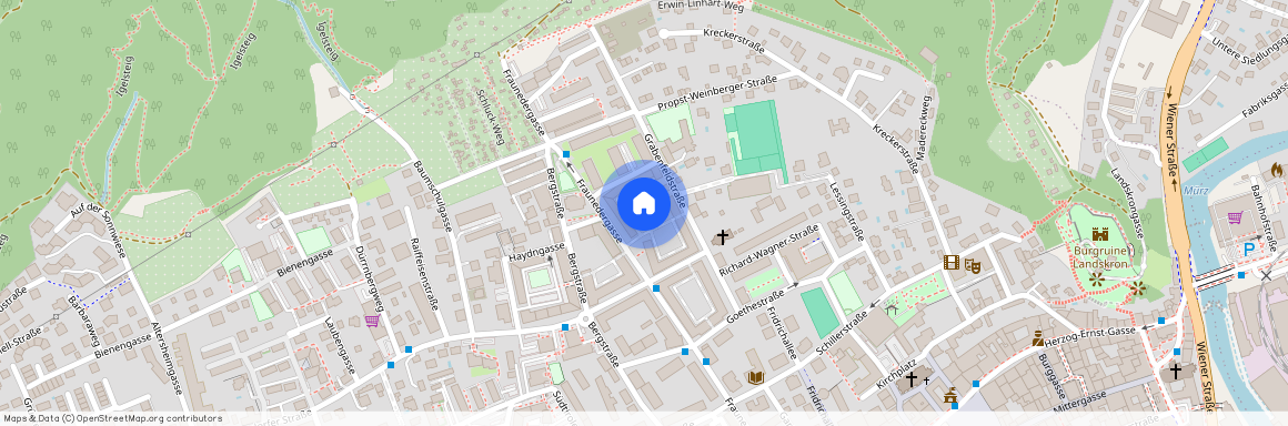 Fraunedergasse 22a, 8600, Bruck An Der Mur