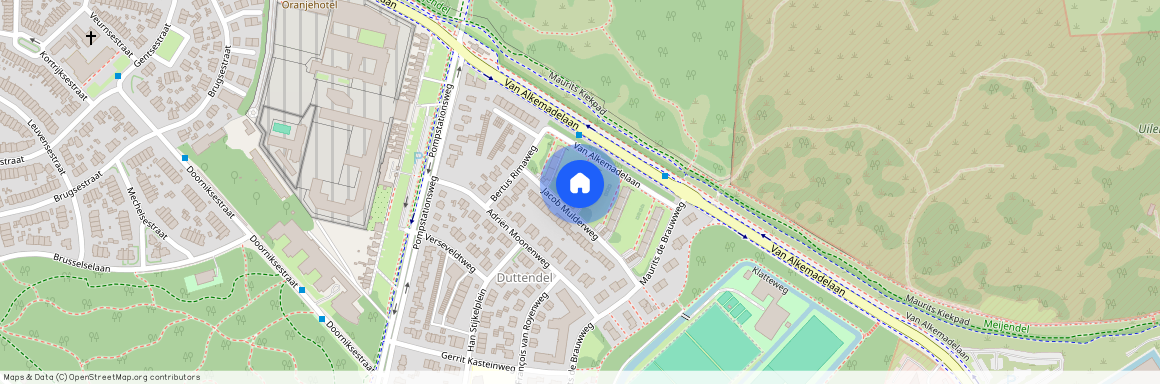 Van Alkemadelaan 1070, 2597BK, 'S-Gravenhage