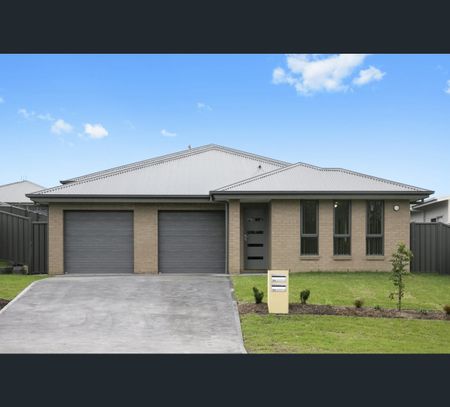 41 Perth Avenue, East Maitland, NSW 2323 - Photo 4