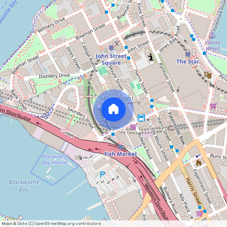 68/102 Miller St, NSW 2009, Pyrmont