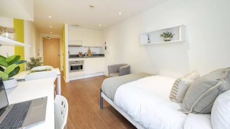 Standard Studio Silver - Photo 2