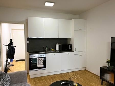 Moderne Garconniere mit Garten in Graz - Foto 3