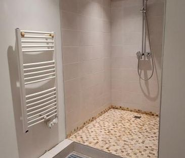 Location Appartement 1 pièce Meublé 19m² STE FOY LES LYON 69110 - Photo 5