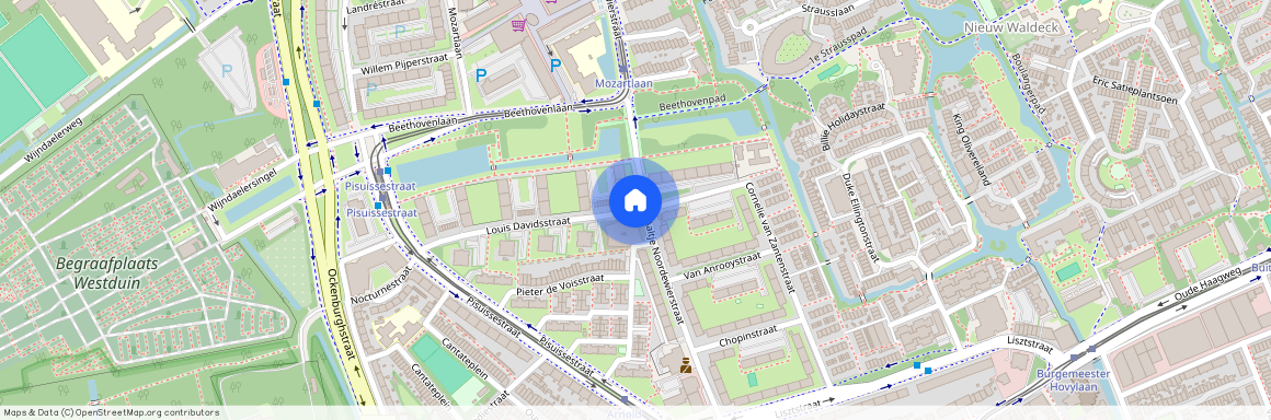 Louis Davidsstraat 2551 EA 's-Gravenhage