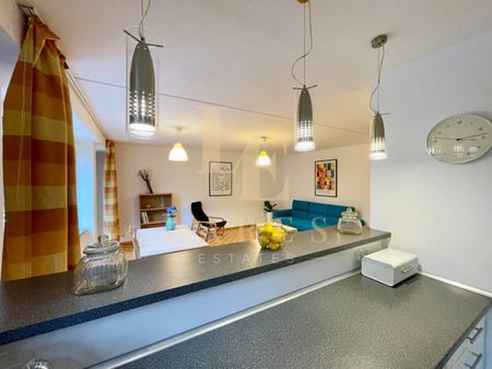 Balkon | Dobra komunikacja | Akceptowane zwierzęta - Photo 4