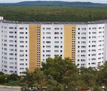 Alfred-Randt-Straße 24, 12559 Berlin - Foto 1