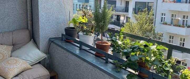 UNTERMIETE 2-Zi.-Whg. / 28.01 - 08.03 / Berlin Wedding - Photo 1