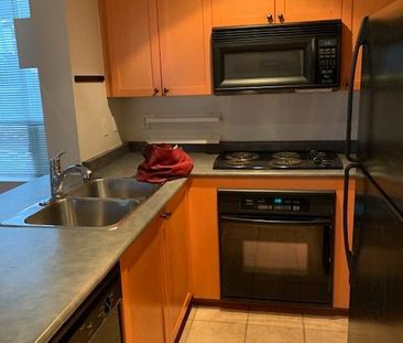 For Lease - 311 Richmond Street Unit# 207, Toronto, Ontario - Photo 3