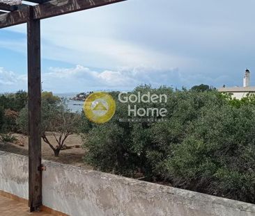 Μονοκατοικία 230 τ.μ. προς ενοικίαση - Photo 4