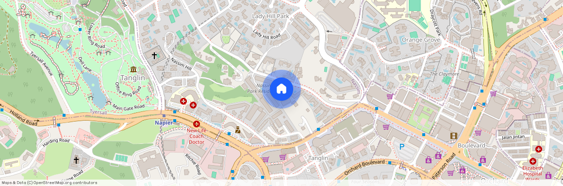11B Nassim Road, D10, 258463, Singapore