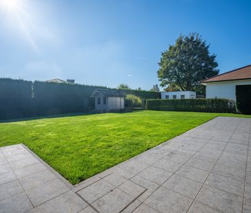 OUDENAARDE - Volledig gelijkvloerse open bebouwing met 3 SLPK. op 800 m² - Foto 3