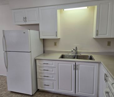 For Lease - 91 Alexandria Avenue Unit# 202, St. Thomas, Ontario - Photo 6