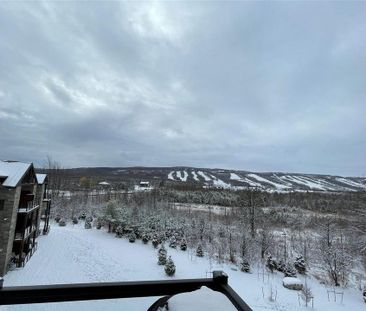 For Lease - 20 Beckwith Lane Unit# 407, Blue Mountains, Ontario - Photo 4