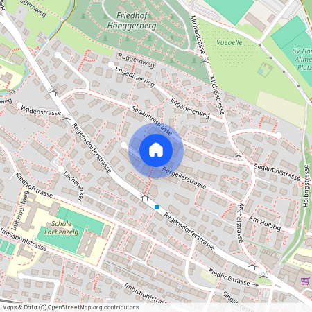 Bergellerstrasse 32, 8049, Zürich