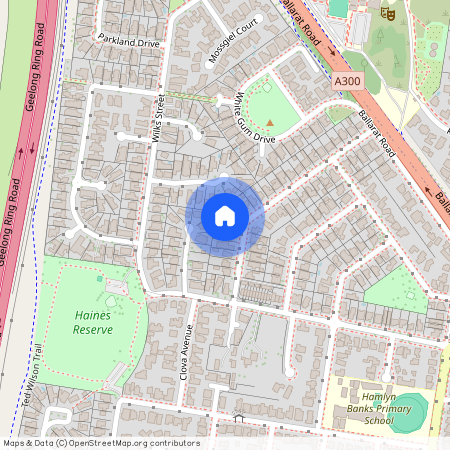 12 Forfar Road, Vic 3215, Hamlyn Heights