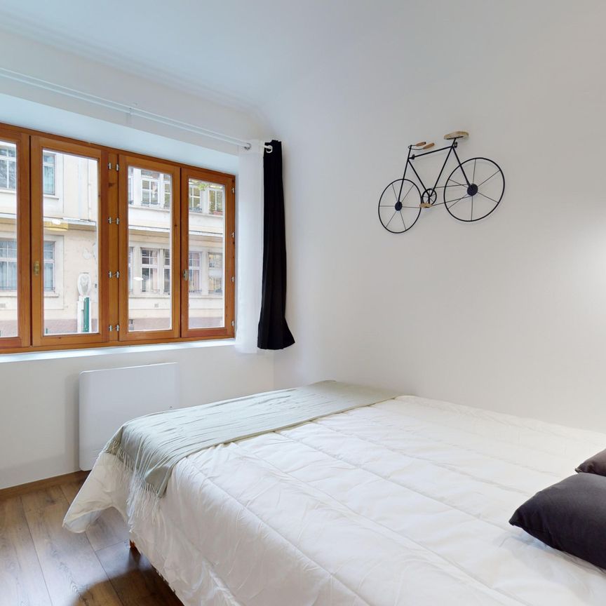 ALSACE LORRAINE Roommate 5 Bedrooms at Lyon 1er - Photo 1