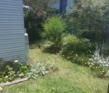 LARGE CHARACTER 2 BEDROOM UNIT - Photo 5