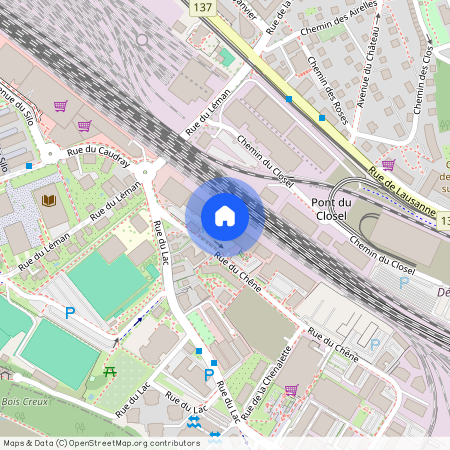 1020, Renens, Rue Du Chêne, 5