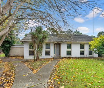 37 Lincoln Avenue, Mont Albert North VIC 3129 - House For Rent | Do... - Photo 4