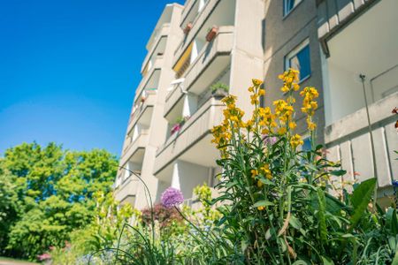 3-Zimmer-Wohnung nahe Küchwald - Photo 4