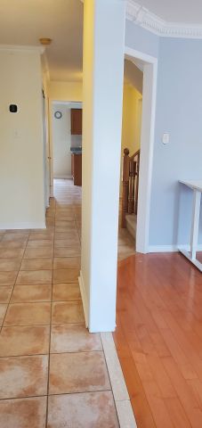 For Lease - 202 Red maple Road, Richmond Hill, Ontario - Photo 3