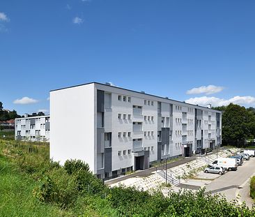 01570017 – Appartement – F4 – Altkirch (68130) - Photo 1